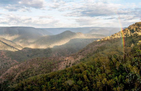 Badgerys Spur Walking Track - Accommodation Cooktown 0