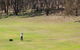 Blayney Golf Club - thumb 1