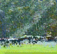 Boyanup - Accommodation Cooktown