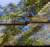 Bribie Island Bicentennial Trails - Accommodation Cooktown