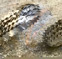 Eclectopia Gifts and Specialty Homewares - Accommodation Cooktown