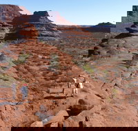 Finke Gorge National Park - Accommodation Cooktown