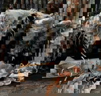 Geckostrands Textile Artist - Accommodation Cooktown