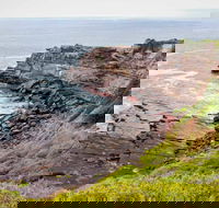 Haycock Point to Barmouth Beach Walking Track - Accommodation Cooktown