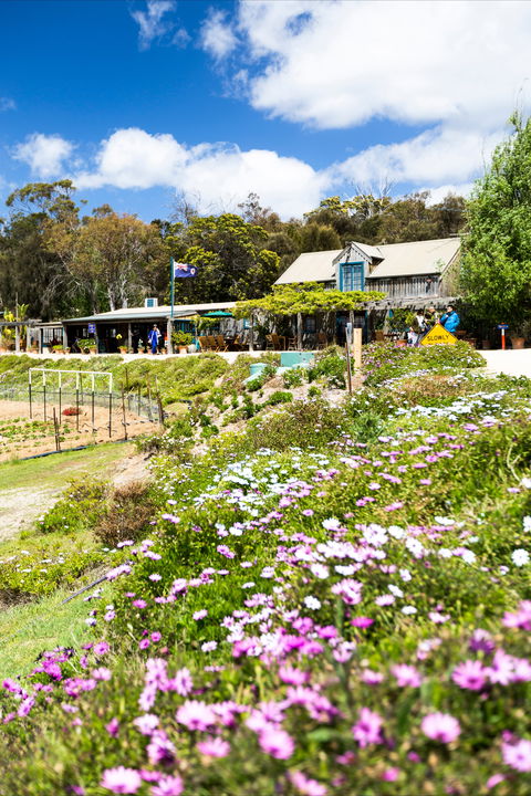 Kate's Berry Farm - Accommodation Cooktown 0