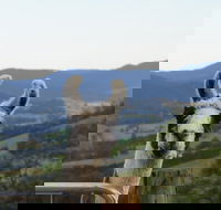 Llama Walks Tasmania - Accommodation Cooktown