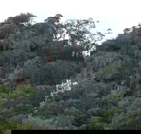 Mount Yarrowyck Nature Reserve - Accommodation Cooktown