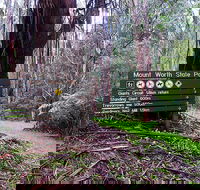 Mount Worth State Park - Accommodation Cooktown