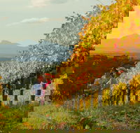 Mount Barker - Accommodation Cooktown