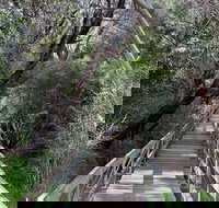 Mulwaree River Walkway - Accommodation Cooktown