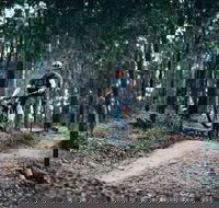 Nerang Mountain Bike Trails