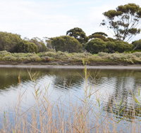 Onkaparinga River Recreation Park - Accommodation Cooktown