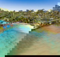 Reflections Boambee Creek Reserve