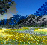 Shearer's Way - Accommodation Cooktown