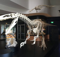 UNE Natural History Museum - Accommodation Cooktown