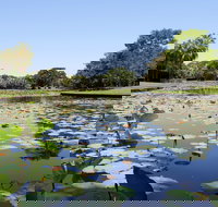 Anderson Park Botanic Gardens - Accommodation Cooktown