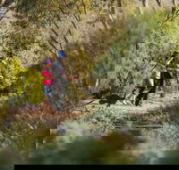 Australian Arid Lands Botanic Garden - Accommodation Cooktown