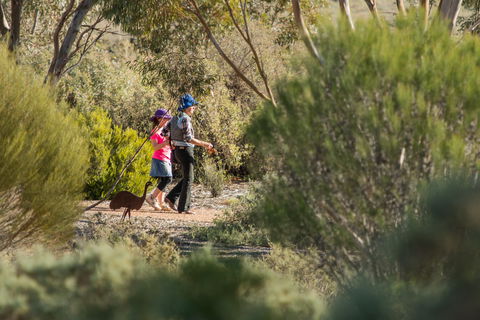 Australian Arid Lands Botanic Garden - Accommodation Cooktown 0