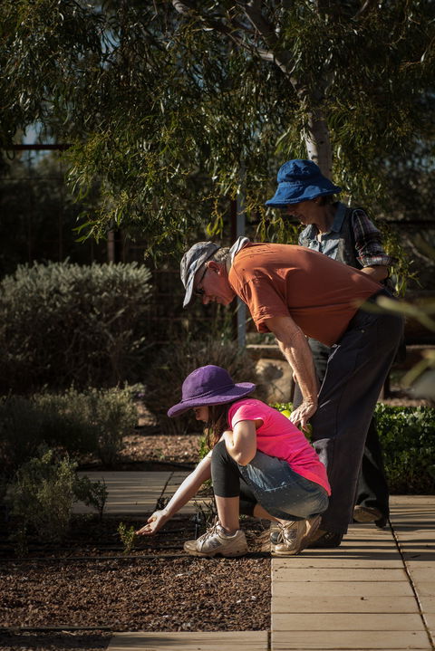 Australian Arid Lands Botanic Garden - Accommodation Cooktown 1