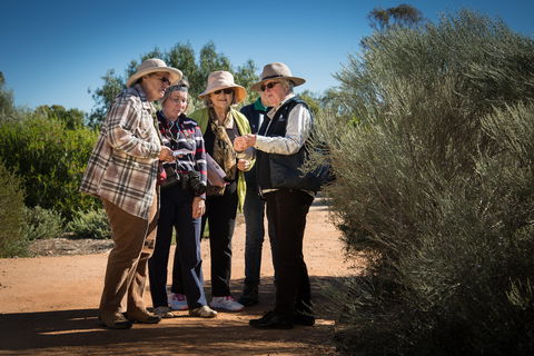 Australian Arid Lands Botanic Garden - Accommodation Cooktown 2