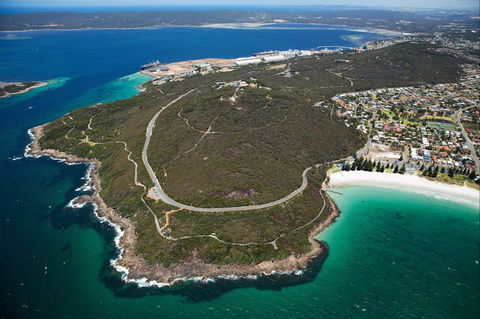 Avenue Of Honour - Accommodation Cooktown 0