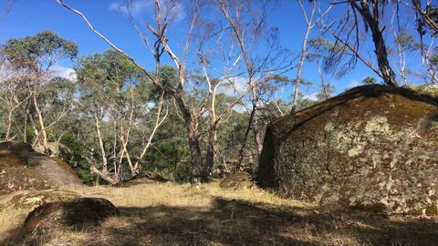 Bailey's Rocks - Dergholm State Park - Accommodation Cooktown 0