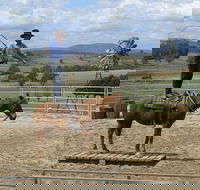 Boggy Creek Show - Accommodation Cooktown