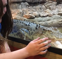 Canberra Reptile Zoo - Accommodation Cooktown