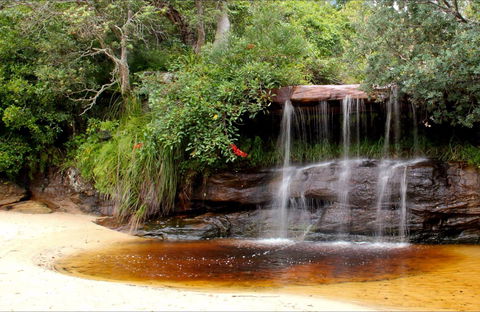 Collins Flat Beach - Accommodation Cooktown 0