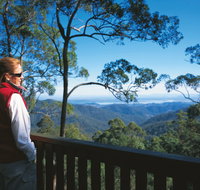 D'Aguilar National Park - Accommodation Cooktown