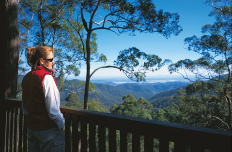 D'Aguilar National Park - Accommodation Cooktown 0