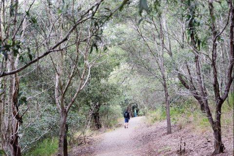 D'Aguilar National Park - Accommodation Cooktown 2