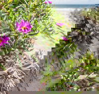 Fort Bribie - Accommodation Cooktown