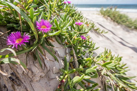 Fort Bribie - Accommodation Cooktown 0