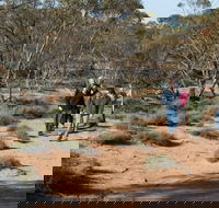 Mallee Stop walking track - Accommodation Cooktown