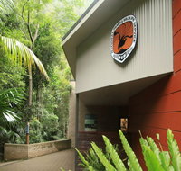 Minnamurra Rainforest Centre Budderoo National Park - Accommodation Cooktown