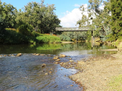 Namoi River And Woolshed Reserve - Accommodation Cooktown 0