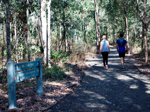 Six Mile Creek, Bluff Lookout And Little White Rock Trails - Accommodation Cooktown 2