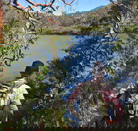 Sphinx Memorial to Bobbin Head Loop Track - Accommodation Cooktown