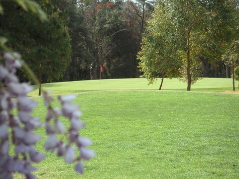 Springwood Country Club - Accommodation Cooktown 0