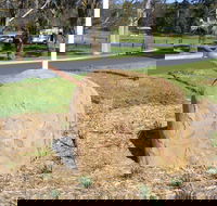 Stratford Historical Society and Museum - Accommodation Cooktown