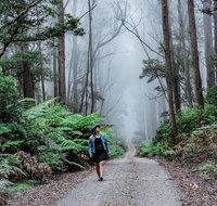 The Corn Trail Walking Track - Accommodation Cooktown
