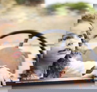 Toddler Thursdays at Werribee Open Range Zoo - Accommodation Cooktown