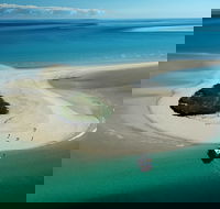 Turtle Discovery - Accommodation Cooktown