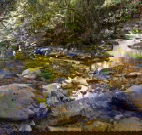 Washpool Walking Track - Accommodation Cooktown