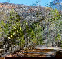 Weddin Gap to Black Spring Loop Trail - Accommodation Cooktown