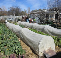 Wynlen House Tour a Unique Urban Regenerative Farm and Market Garden - Accommodation Cooktown