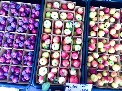 Adelaide Showground Farmers' Market - Accommodation Cooktown 0