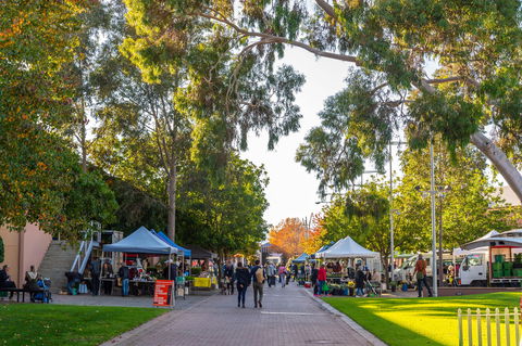 Adelaide Showground Farmers' Market - Accommodation Cooktown 2