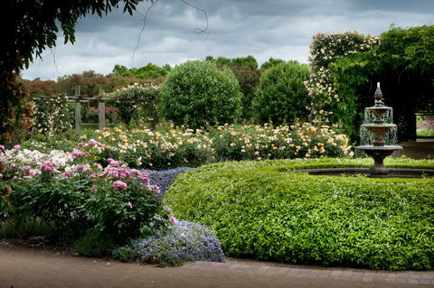 Alowyn Gardens And Nursery - Accommodation Cooktown 1